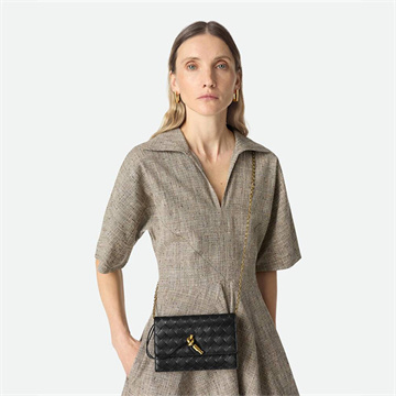 bottega veneta andiamo pouch on chain #844107